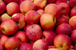 background of red apples