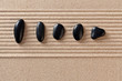 Five black pebbles on raked sand
