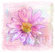 Vector: pink flower with dew drops pink flower with dew drops