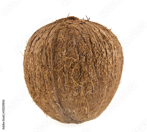 Photo: coconut coconut