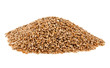 grains of wheat