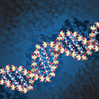 Vektor: dna structure dna structure