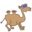 Camel Cartoon Vector Illustration