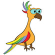 Parrot