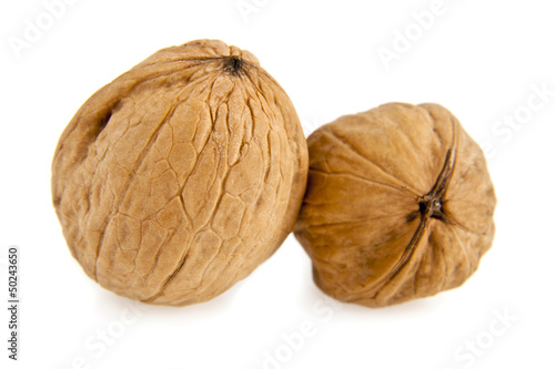 Photo: nuts nuts