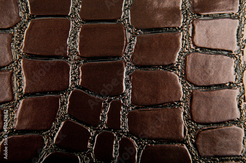 Photo: brown background brown background