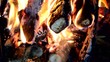 feuer 0903a