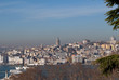 Galata Tower Istanbul in Smog