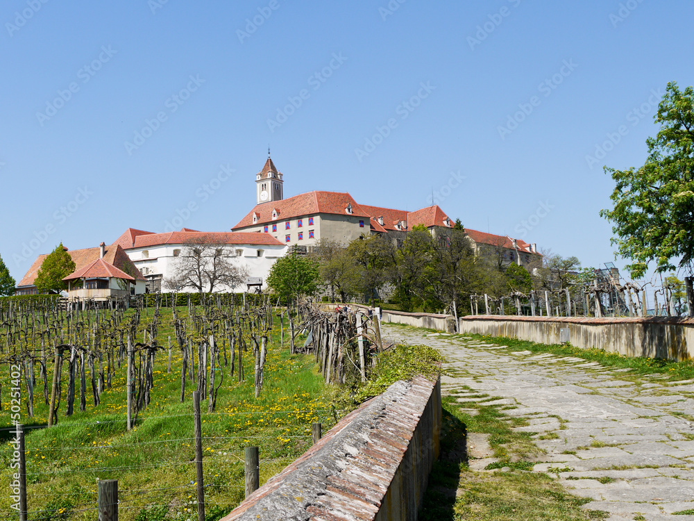 Footpath to the castle, Austria