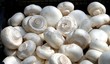 Champignons de Paris au marché