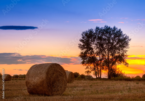 Photo: Sunset field, tree and hay bale Sunset field, tree and hay bale
