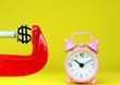 Dollar In The Pink