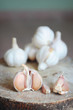 Photo: Garlic Garlic