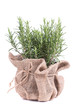 rosemary