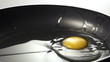 Raw egg falls on the pan