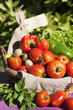 some fresh bio vegetables