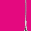Reißverschluss ~ Zipper ~ Zipp ~ Zip ~ Pink