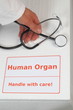 Box fuer Organtransplantation mit Hand von Arzt