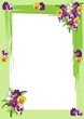cornice viole