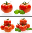 Tomaten