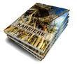 3D Buch III - Karriere