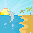 dolphin