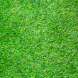 Artificial Grass Field Top View Texture