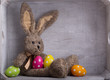 süßer osterhase kuscheltier