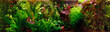 Decorative aquarium