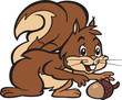 Squirell And Oak Nut