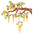 albero delle certezze