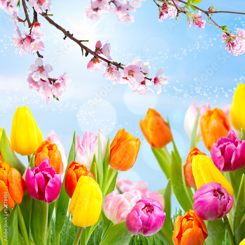 Photo: bunte Blumenwiese bunte Blumenwiese