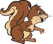 Friendly Squirell