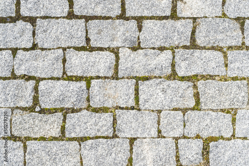 Photo: Coblle Texture with Grass. Coblle Texture with Grass.