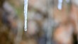 ice melts in the spring