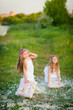 Two lovely girls playing on meadow