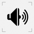 Speaker Icon