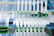 Loaded multipipette over a plate for DNA analysis