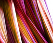 Abstract pink lines on white background