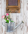 Foto: Gießkanne vor alter Holwand mit Kreidetafel Gießkanne vor alter Holwand mit Kreidetafel