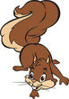 Friendly Squirell