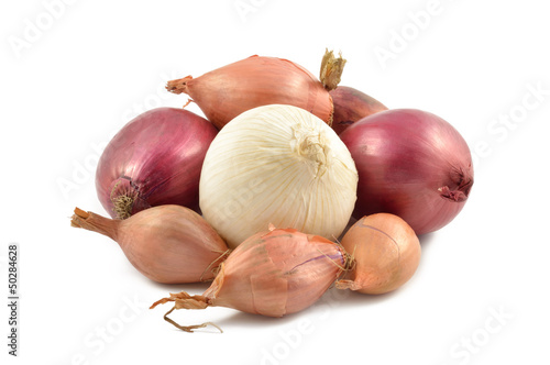Photo: Onions, shallots, garlic and white onion Onions, shallots, garlic and white onion