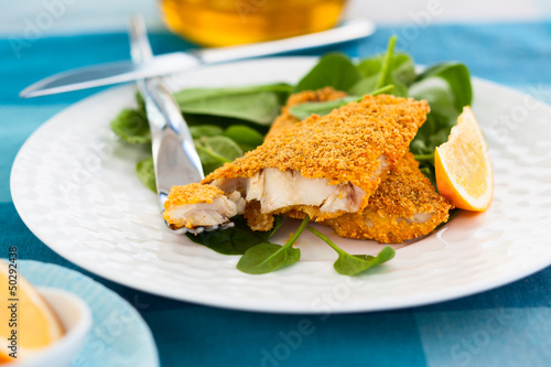Photo: breaded fish breaded fish