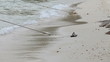 Man walks alone on beach