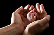 Hands Holding Baby Foot
