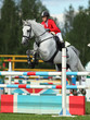 Showjumping