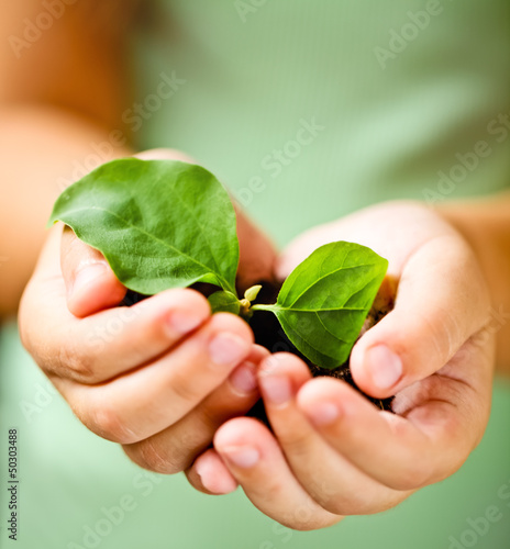Photo: Child holding little plant Child holding little plant