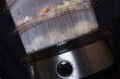 food steamer
