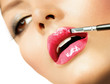 Professional Make-up. Lipgloss. Lipstick