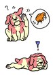 犬のノミの駆除